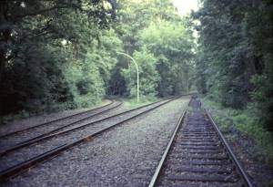 Vergrössern