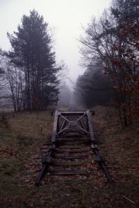 Vergrössern