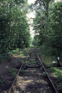 Vergrössern