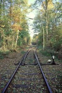 Vergrössern