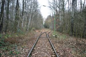Vergrössern