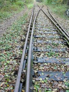 Vergrössern