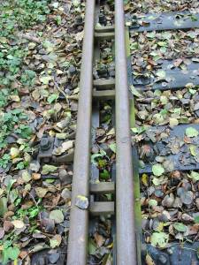Vergrössern