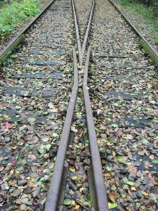 Vergrössern