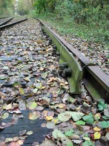 Vergrössern
