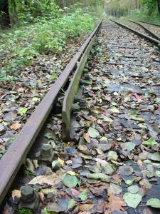 Vergrössern