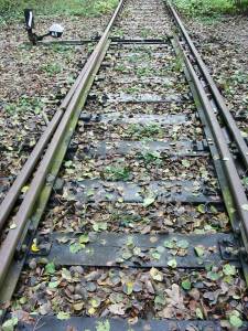 Vergrössern