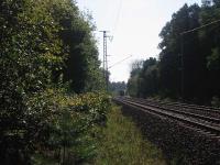 Vergrössern